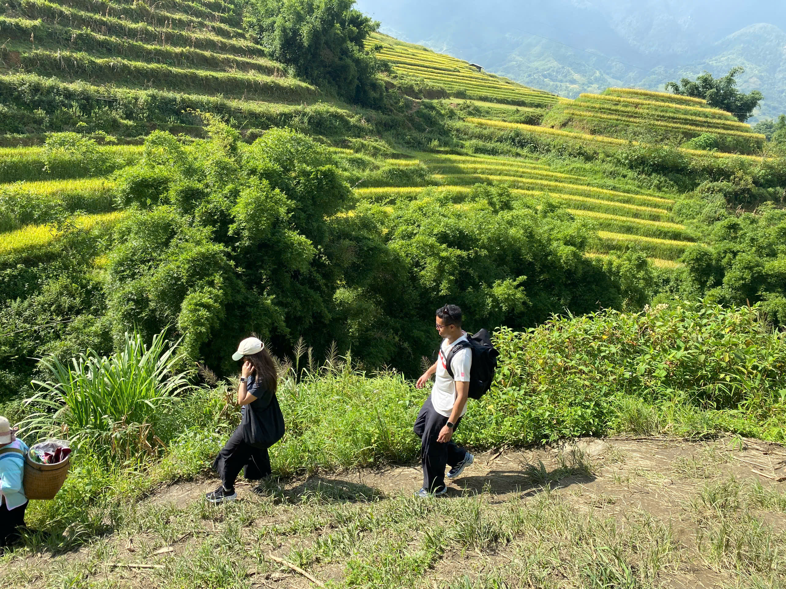 Half-Day Sapa Cultural Tour